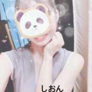 ヒメ日記 2025/04/12 16:15 投稿 しおん Wonder7 (ワンダー7)