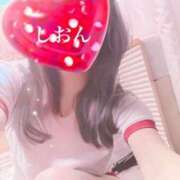 ヒメ日記 2025/04/13 11:05 投稿 しおん Wonder7 (ワンダー7)