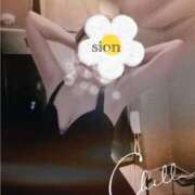 ヒメ日記 2025/04/14 11:06 投稿 しおん Wonder7 (ワンダー7)