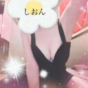 ヒメ日記 2025/04/14 21:10 投稿 しおん Wonder7 (ワンダー7)