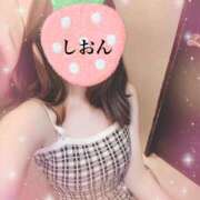 ヒメ日記 2025/04/17 20:43 投稿 しおん Wonder7 (ワンダー7)