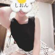 ヒメ日記 2025/04/18 08:53 投稿 しおん Wonder7 (ワンダー7)