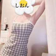 ヒメ日記 2025/04/19 06:52 投稿 しおん Wonder7 (ワンダー7)