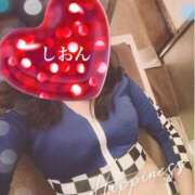 ヒメ日記 2025/04/20 11:00 投稿 しおん Wonder7 (ワンダー7)