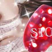 ヒメ日記 2025/05/13 11:40 投稿 しおん Wonder7 (ワンダー7)