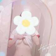 ヒメ日記 2025/05/24 11:23 投稿 しおん Wonder7 (ワンダー7)