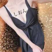 ヒメ日記 2025/07/15 09:39 投稿 しおん Wonder7 (ワンダー7)