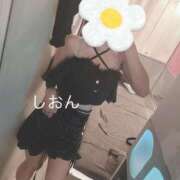 ヒメ日記 2025/07/21 08:15 投稿 しおん Wonder7 (ワンダー7)