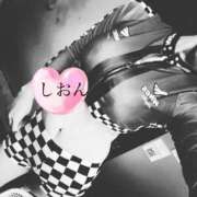 ヒメ日記 2025/08/12 08:13 投稿 しおん Wonder7 (ワンダー7)