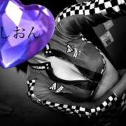 ヒメ日記 2025/08/12 10:52 投稿 しおん Wonder7 (ワンダー7)