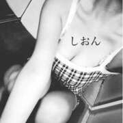 ヒメ日記 2025/08/14 10:47 投稿 しおん Wonder7 (ワンダー7)