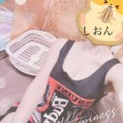 ヒメ日記 2025/08/28 09:36 投稿 しおん Wonder7 (ワンダー7)