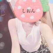 ヒメ日記 2025/09/08 15:14 投稿 しおん Wonder7 (ワンダー7)