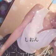 ヒメ日記 2025/09/24 11:47 投稿 しおん Wonder7 (ワンダー7)