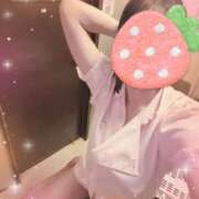 ヒメ日記 2026/02/06 08:42 投稿 しおん Wonder7 (ワンダー7)