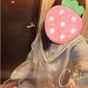 ヒメ日記 2026/04/09 09:25 投稿 しおん Wonder7 (ワンダー7)