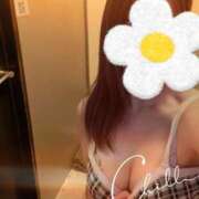 ヒメ日記 2026/04/29 10:33 投稿 しおん Wonder7 (ワンダー7)