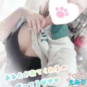 ヒメ日記 2025/10/25 09:41 投稿 えみり スピードエコ京橋店