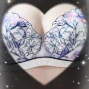 ヒメ日記 2025/04/17 13:56 投稿 めいさ かぐや本舗