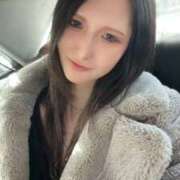 LAYLA 出勤しました🐈✨ GINGIRA☆TOKYO～ギンギラ東京～