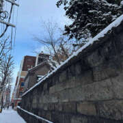 ヒメ日記 2025/01/30 09:13 投稿 こころ 恋愛マット同好会