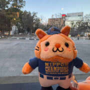 ヒメ日記 2025/03/17 17:48 投稿 こころ 恋愛マット同好会