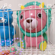 ヒメ日記 2025/03/25 21:18 投稿 こころ 恋愛マット同好会