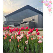 ヒメ日記 2025/05/14 21:18 投稿 こころ 恋愛マット同好会