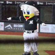 ヒメ日記 2025/07/30 08:58 投稿 こころ 恋愛マット同好会