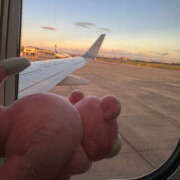 ヒメ日記 2025/08/16 21:48 投稿 こころ 恋愛マット同好会