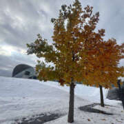 ヒメ日記 2025/11/14 15:28 投稿 こころ 恋愛マット同好会