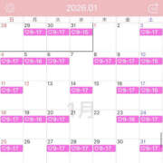 ヒメ日記 2025/12/27 08:18 投稿 こころ 恋愛マット同好会