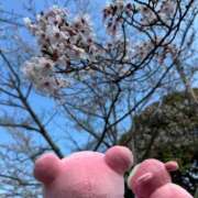 ヒメ日記 2026/04/06 21:50 投稿 こころ 恋愛マット同好会