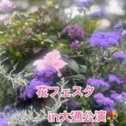 ヒメ日記 2026/06/30 09:08 投稿 こころ 恋愛マット同好会