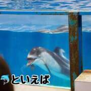 ヒメ日記 2026/08/31 23:55 投稿 こころ 恋愛マット同好会