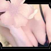 ヒメ日記 2025/12/08 15:34 投稿 真心(まこ) 天国にいちばん近い島　ニューカレドニア式高級アロマエステ(カサブランカグループ)