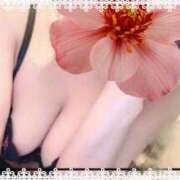 ヒメ日記 2025/12/30 16:58 投稿 真心(まこ) 天国にいちばん近い島　ニューカレドニア式高級アロマエステ(カサブランカグループ)