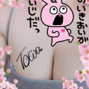 ヒメ日記 2024/12/09 17:34 投稿 とわ 奥様特急　池袋・大塚店