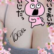 とわ (-⊙ω⊙-)ゞ 奥様特急　池袋・大塚店