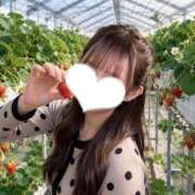 ヒメ日記 2026/05/15 01:30 投稿 りり RED BERYL～レッドベリル～