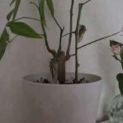 ヒメ日記 2025/08/29 20:44 投稿 りん 待ちナビ