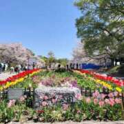 ヒメ日記 2026/04/09 09:40 投稿 りん 待ちナビ