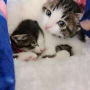 はじめ ありがとう😹 Love Life(ラブライフ) 池袋店