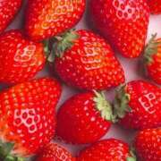 ヒメ日記 2025/11/08 20:09 投稿 いちご No.1～ナンバーワン～