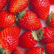 ヒメ日記 2025/12/03 12:15 投稿 いちご No.1～ナンバーワン～