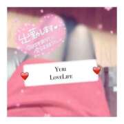 ヒメ日記 2025/11/20 20:04 投稿 ゆり Love Life(ラブライフ) 池袋店
