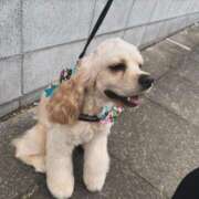 ヒメ日記 2025/03/08 18:44 投稿 ゆん Love Life(ラブライフ) 池袋店