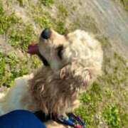 ヒメ日記 2025/04/19 22:24 投稿 ゆん Love Life(ラブライフ) 池袋店