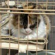 ヒメ日記 2025/04/20 21:06 投稿 ゆん Love Life(ラブライフ) 池袋店