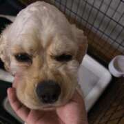 ヒメ日記 2025/07/02 20:54 投稿 ゆん Love Life(ラブライフ) 池袋店